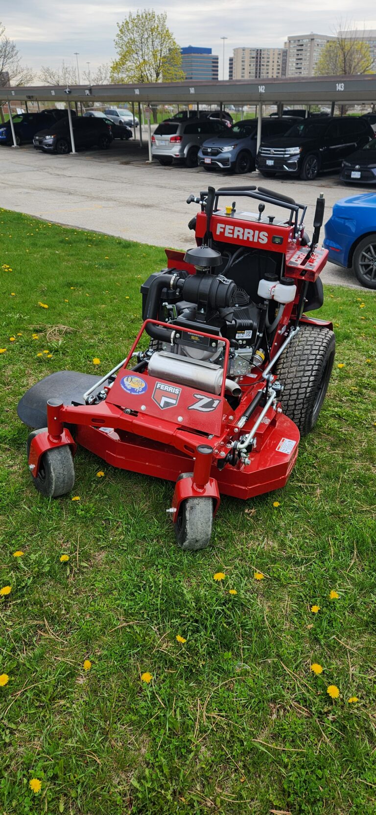 grass cutting