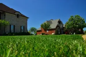 Lawn Mowing