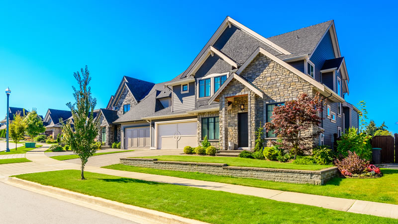 Lawn Maintenance