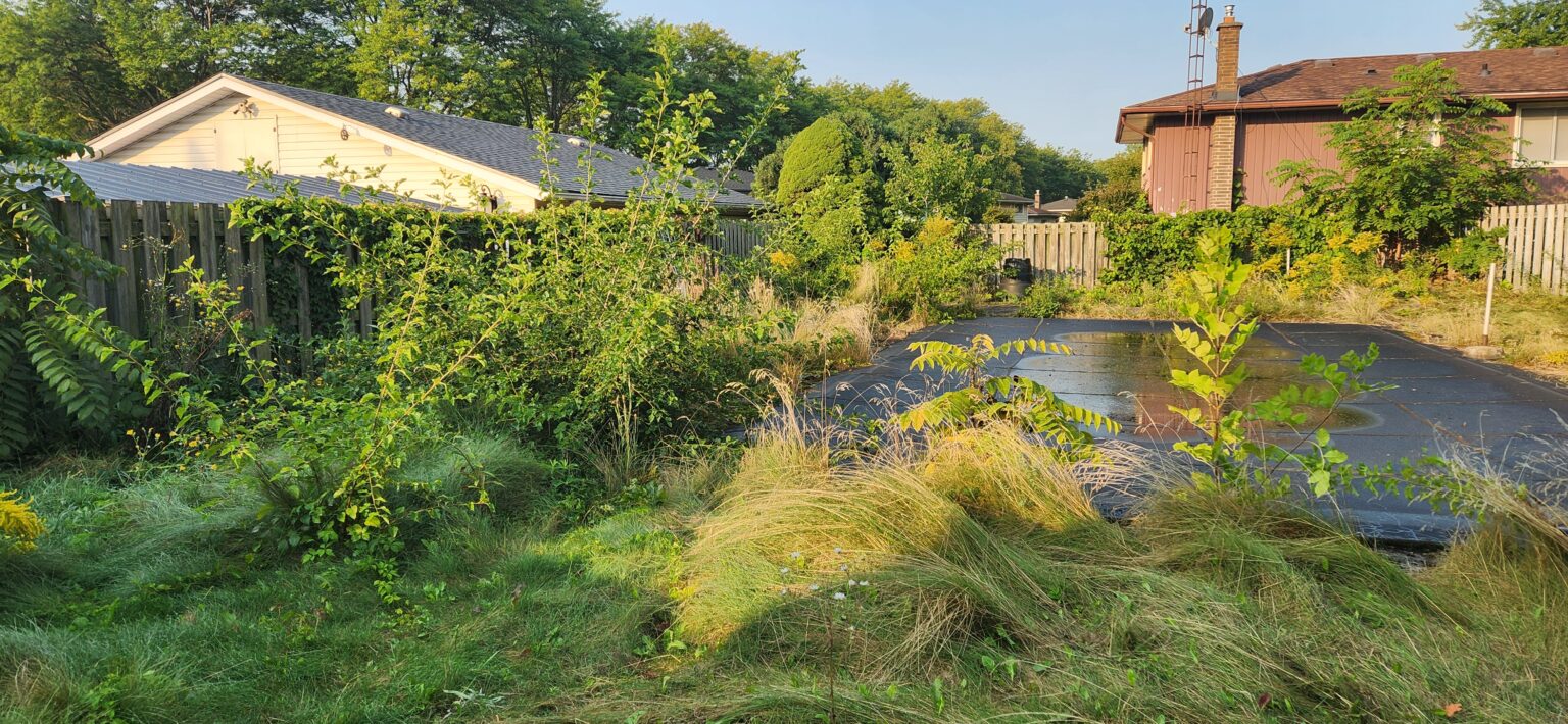 20240913_083653-1-1536x710 (2)