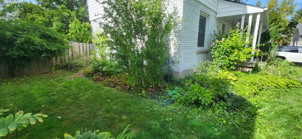 20240926 134632 1536x710 2 Simply Grounds