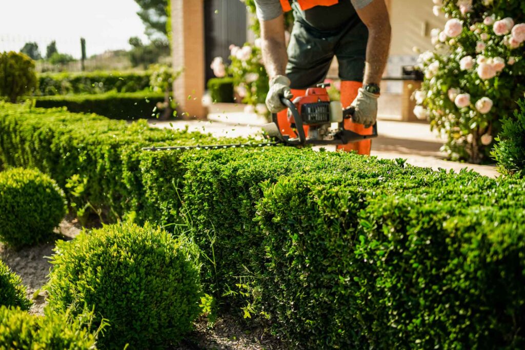 Professional lawn and landscaping maintenance for residential properties in Niagara Falls