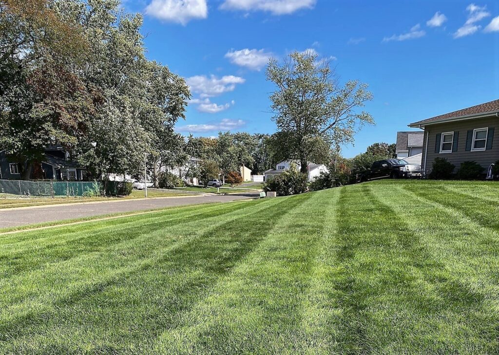 benefitsofhealthylawn Simply Grounds