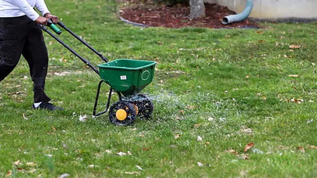 lawn fertilization treatment spreading fertilizer on grass in Niagara Falls
