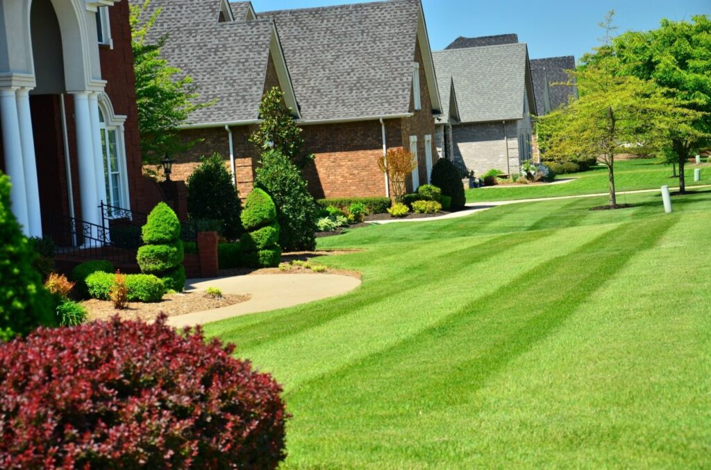 lawn pic 1536x1017 4 Simply Grounds