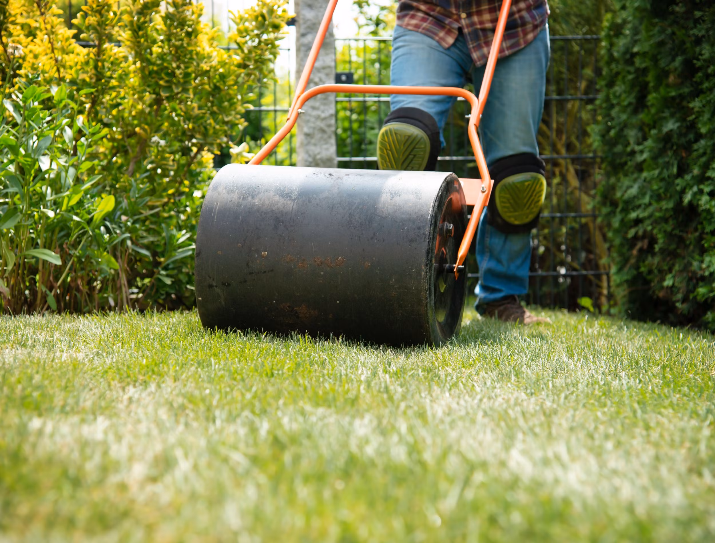 man rolling lawn to flatten the land Simply Grounds