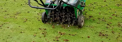 lawn aeration core service for healthier grass in Niagara Falls