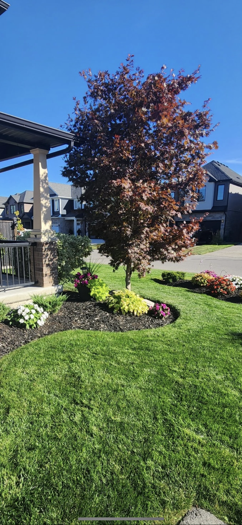 IMG 9169 Simply Grounds