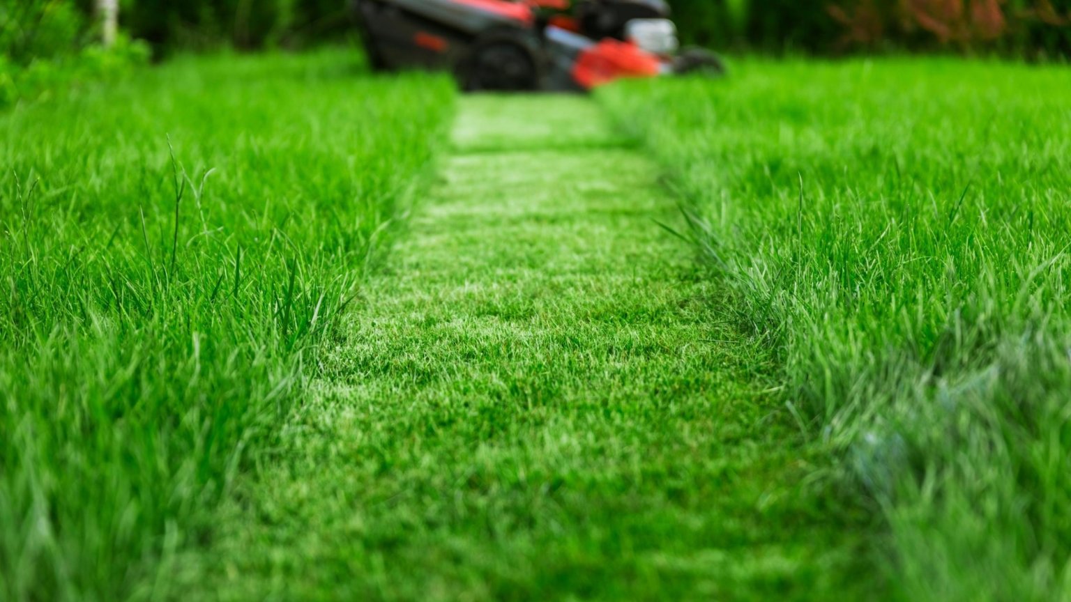 Professional lawn mowing service by Simply Grounds maintaining a healthy green lawn